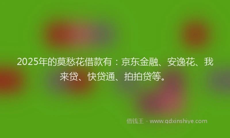 2025年的莫愁花借款有：京东金融、安逸花、我来贷、快贷通、拍拍贷等。