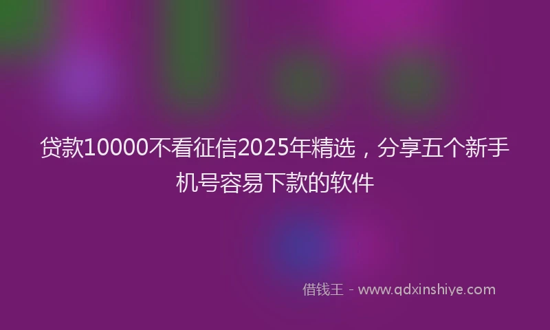 贷款10000不看征信2025年精选，分享五个新手机号容易下款的软件