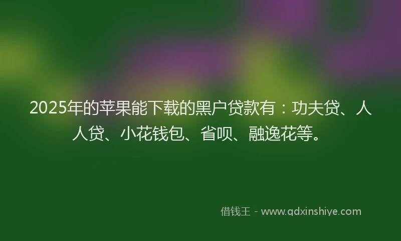 2025年的苹果能下载的黑户贷款有：功夫贷、人人贷、小花钱包、省呗、融逸花等。