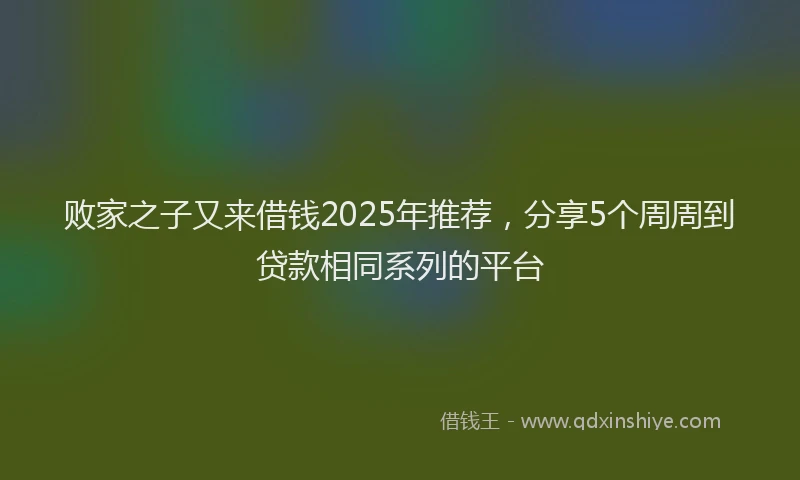 败家之子又来借钱2025年推荐，分享5个周周到贷款相同系列的平台
