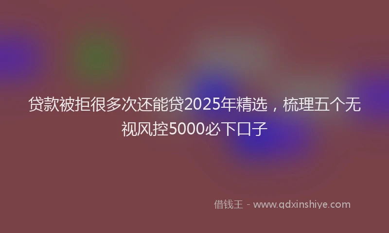 贷款被拒很多次还能贷2025年精选，梳理五个无视风控5000必下口子