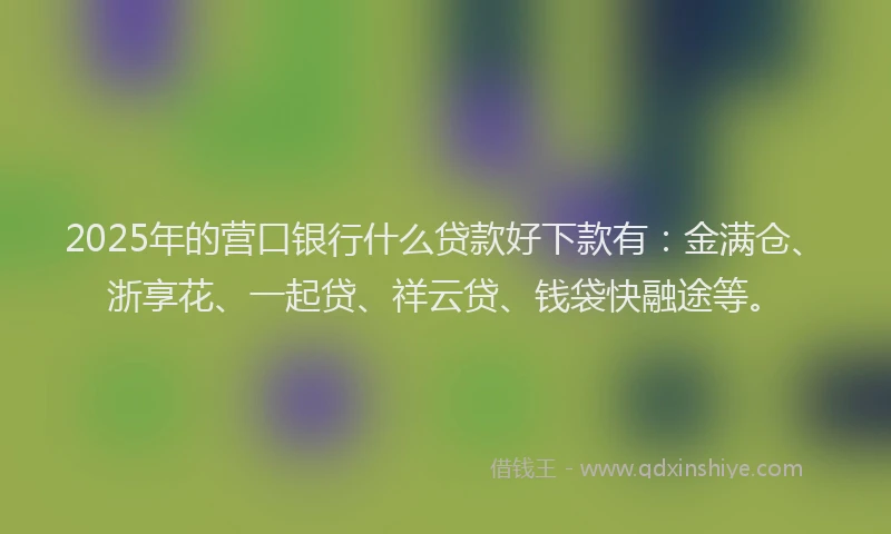 2025年的营口银行什么贷款好下款有：金满仓、浙享花、一起贷、祥云贷、钱袋快融途等。