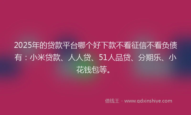 2025年的贷款平台哪个好下款不看征信不看负债有：小米贷款、人人贷、51人品贷、分期乐、小花钱包等。
