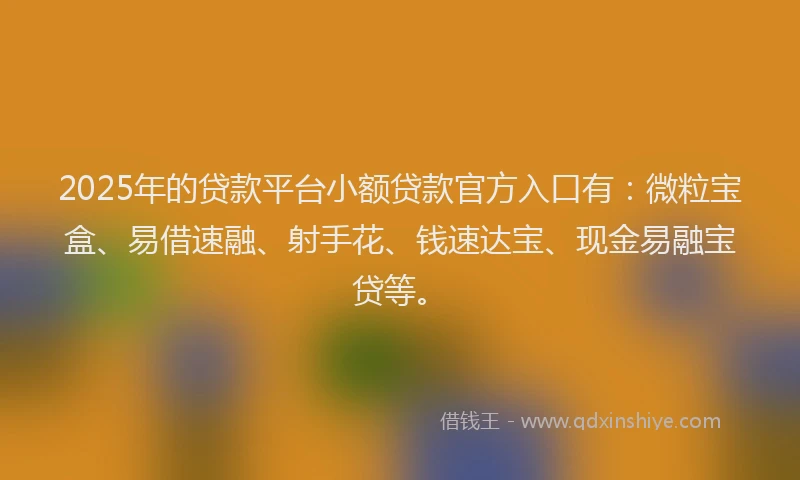 2025年的贷款平台小额贷款官方入口有：微粒宝盒、易借速融、射手花、钱速达宝、现金易融宝贷等。