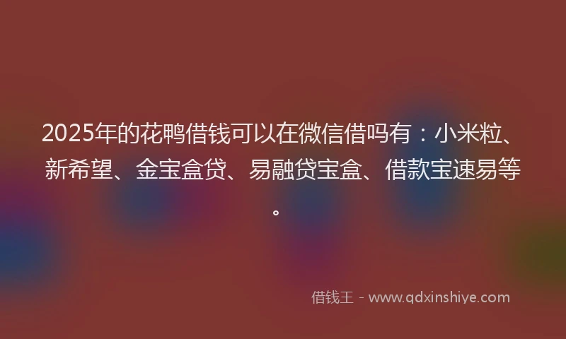 2025年的花鸭借钱可以在微信借吗有：小米粒、新希望、金宝盒贷、易融贷宝盒、借款宝速易等。