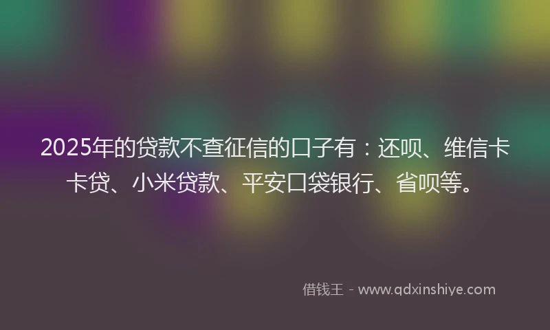 2025年的贷款不查征信的口子有：还呗、维信卡卡贷、小米贷款、平安口袋银行、省呗等。