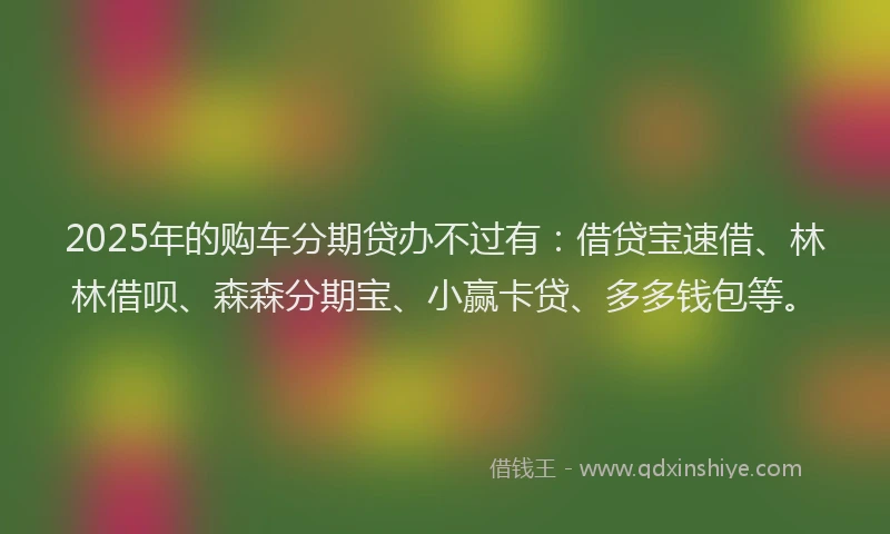 2025年的购车分期贷办不过有：借贷宝速借、林林借呗、森森分期宝、小赢卡贷、多多钱包等。