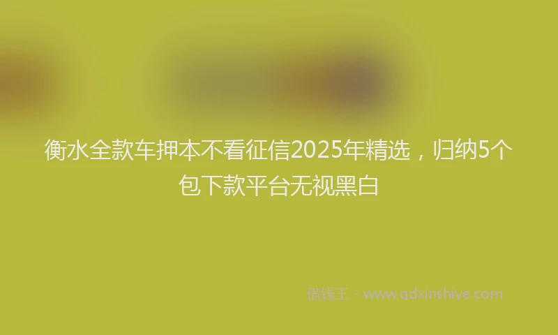 衡水全款车押本不看征信2025年精选，归纳5个包下款平台无视黑白