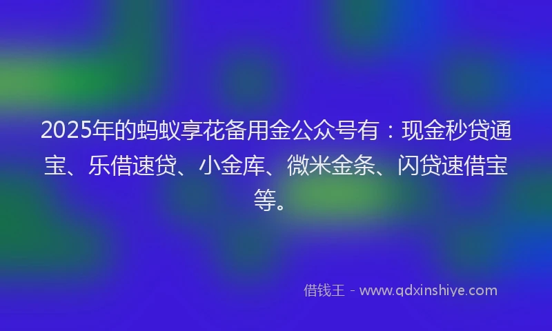2025年的蚂蚁享花备用金公众号有：现金秒贷通宝、乐借速贷、小金库、微米金条、闪贷速借宝等。
