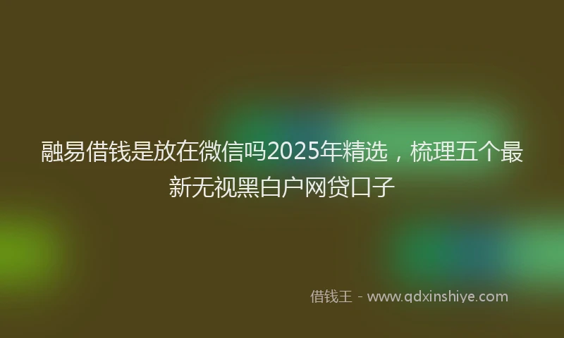 融易借钱是放在微信吗2025年精选，梳理五个最新无视黑白户网贷口子