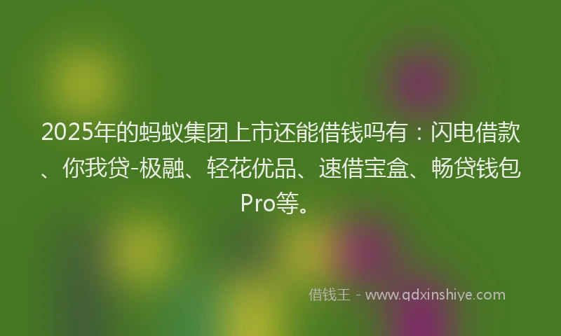 2025年的蚂蚁集团上市还能借钱吗有：闪电借款、你我贷-极融、轻花优品、速借宝盒、畅贷钱包Pro等。