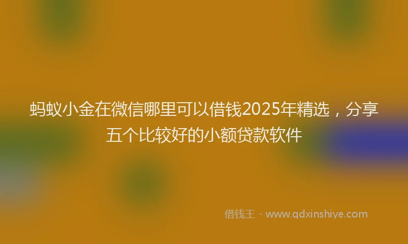蚂蚁小金在微信哪里可以借钱2025年精选，分享五个比较好的小额贷款软件