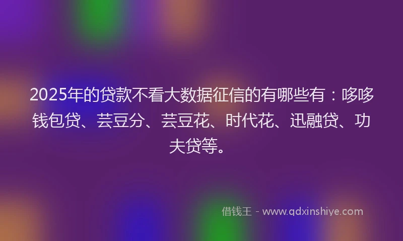 2025年的贷款不看大数据征信的有哪些有：哆哆钱包贷、芸豆分、芸豆花、时代花、迅融贷、功夫贷等。