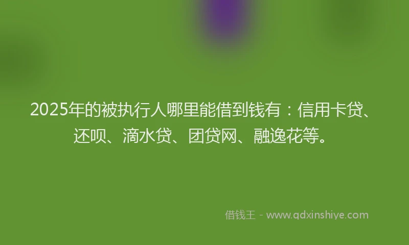 2025年的被执行人哪里能借到钱有：信用卡贷、还呗、滴水贷、团贷网、融逸花等。
