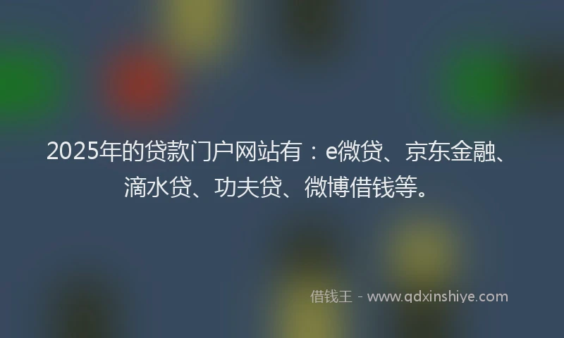 2025年的贷款门户网站有：e微贷、京东金融、滴水贷、功夫贷、微博借钱等。