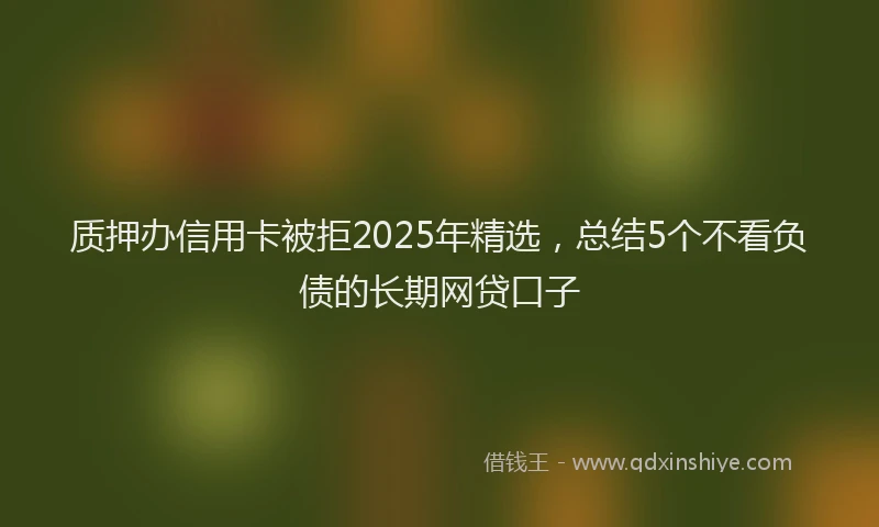 质押办信用卡被拒2025年精选，总结5个不看负债的长期网贷口子