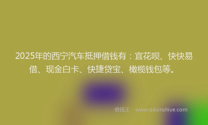 2025年的西宁汽车抵押借钱有：宜花呗、快快易借、现金白卡、快捷贷宝、橄榄钱包等。