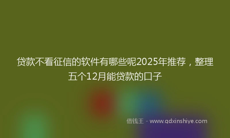 贷款不看征信的软件有哪些呢2025年推荐，整理五个12月能贷款的口子