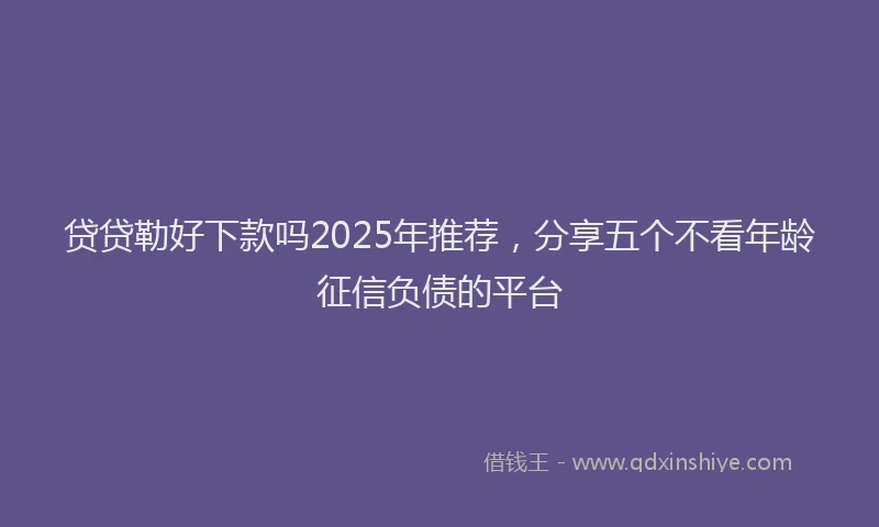 贷贷勒好下款吗2025年推荐，分享五个不看年龄征信负债的平台