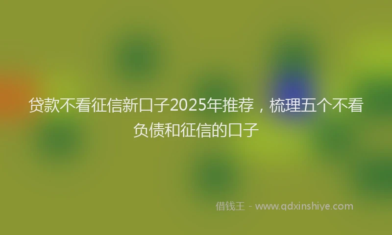 贷款不看征信新口子2025年推荐，梳理五个不看负债和征信的口子