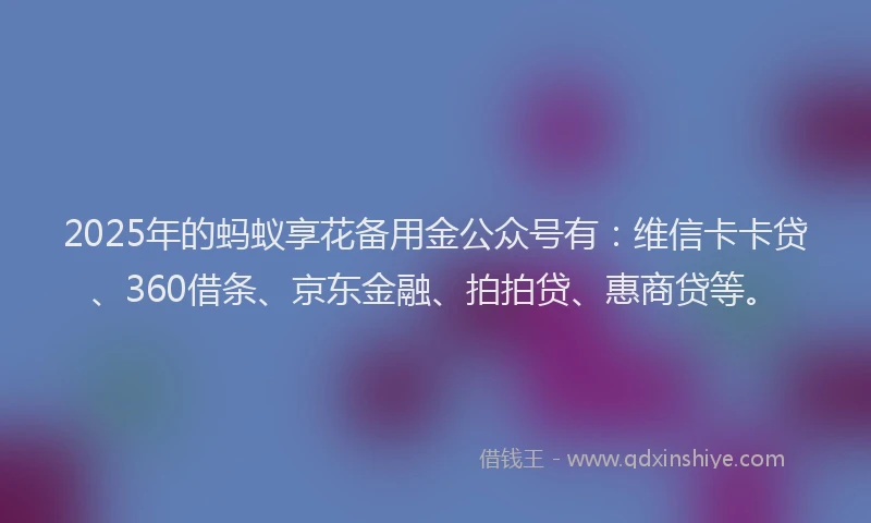2025年的蚂蚁享花备用金公众号有：维信卡卡贷、360借条、京东金融、拍拍贷、惠商贷等。