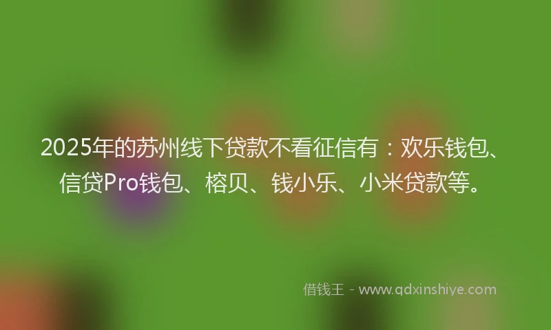2025年的苏州线下贷款不看征信有：欢乐钱包、信贷Pro钱包、榕贝、钱小乐、小米贷款等。