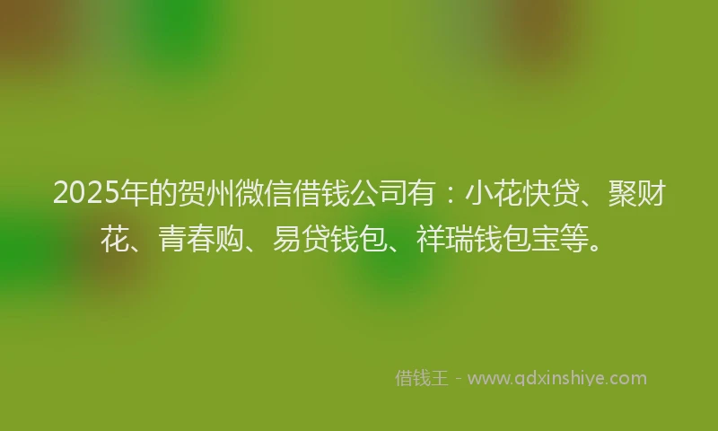 2025年的贺州微信借钱公司有：小花快贷、聚财花、青春购、易贷钱包、祥瑞钱包宝等。