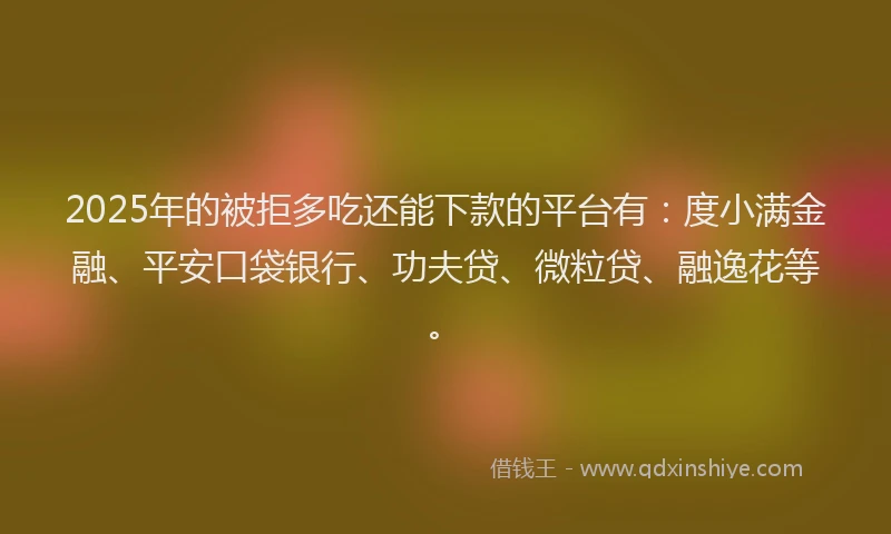 2025年的被拒多吃还能下款的平台有：度小满金融、平安口袋银行、功夫贷、微粒贷、融逸花等。