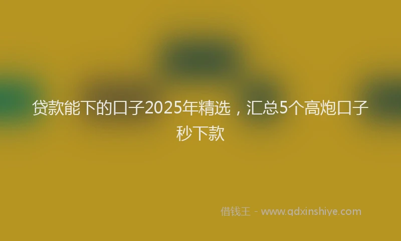 贷款能下的口子2025年精选，汇总5个高炮口子秒下款