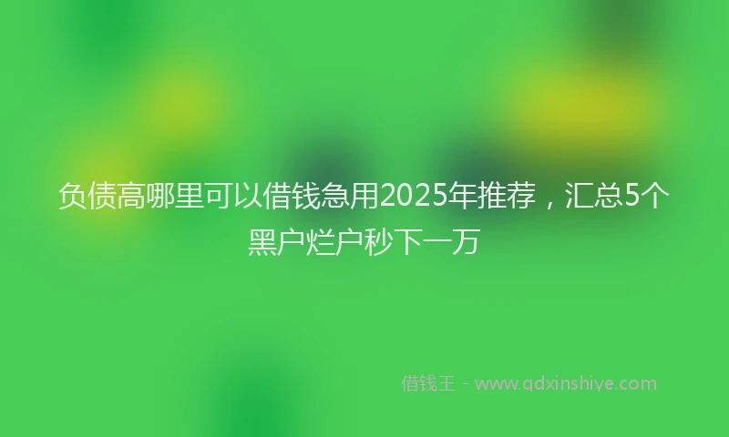 负债高哪里可以借钱急用2025年推荐，汇总5个黑户烂户秒下一万