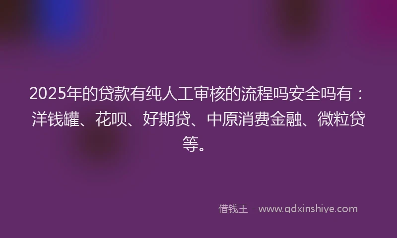 2025年的贷款有纯人工审核的流程吗安全吗有：洋钱罐、花呗、好期贷、中原消费金融、微粒贷等。