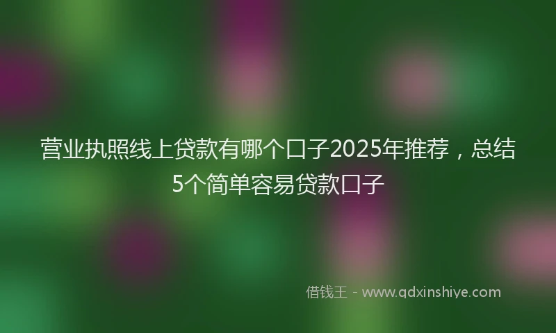 营业执照线上贷款有哪个口子2025年推荐，总结5个简单容易贷款口子