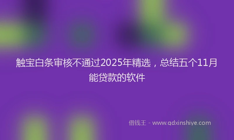 触宝白条审核不通过2025年精选，总结五个11月能贷款的软件