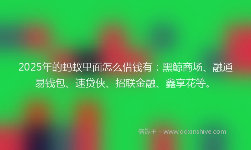 2025年的蚂蚁里面怎么借钱有：黑鲸商场、融通易钱包、速贷侠、招联金融、鑫享花等。
