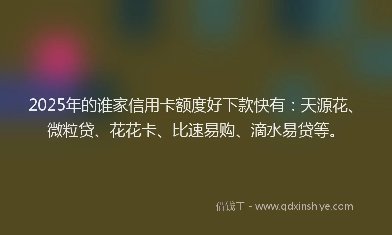 2025年的谁家信用卡额度好下款快有：天源花、微粒贷、花花卡、比速易购、滴水易贷等。