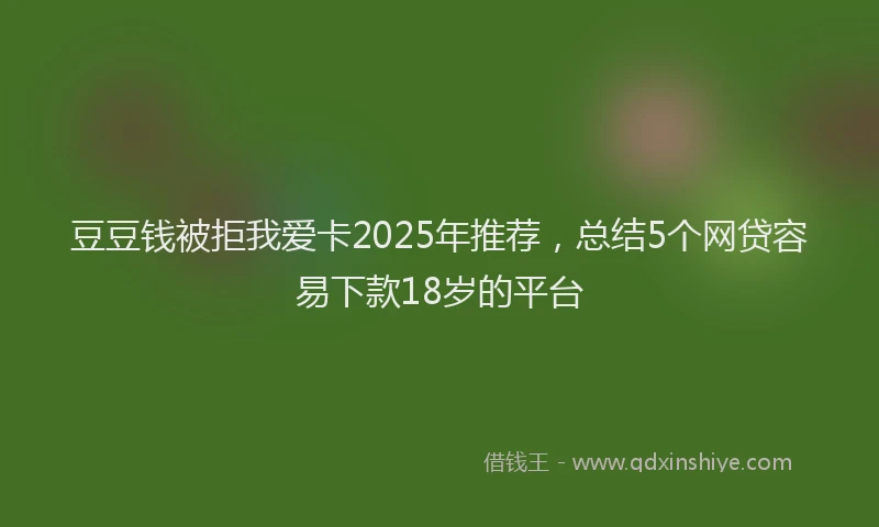 豆豆钱被拒我爱卡2025年推荐，总结5个网贷容易下款18岁的平台