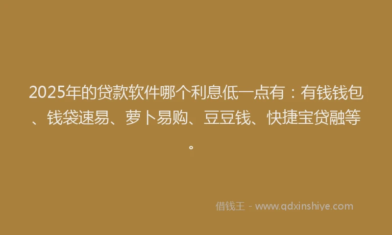 2025年的贷款软件哪个利息低一点有：有钱钱包、钱袋速易、萝卜易购、豆豆钱、快捷宝贷融等。