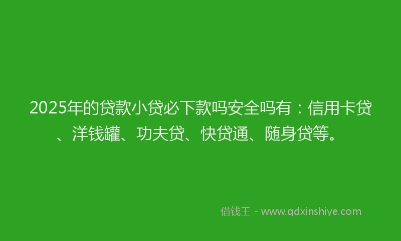 2025年的贷款小贷必下款吗安全吗有：信用卡贷、洋钱罐、功夫贷、快贷通、随身贷等。