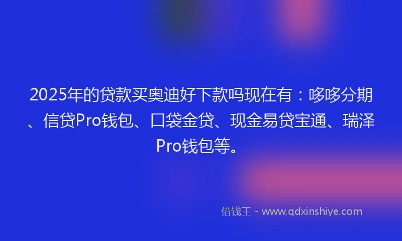 2025年的贷款买奥迪好下款吗现在有：哆哆分期、信贷Pro钱包、口袋金贷、现金易贷宝通、瑞泽Pro钱包等。