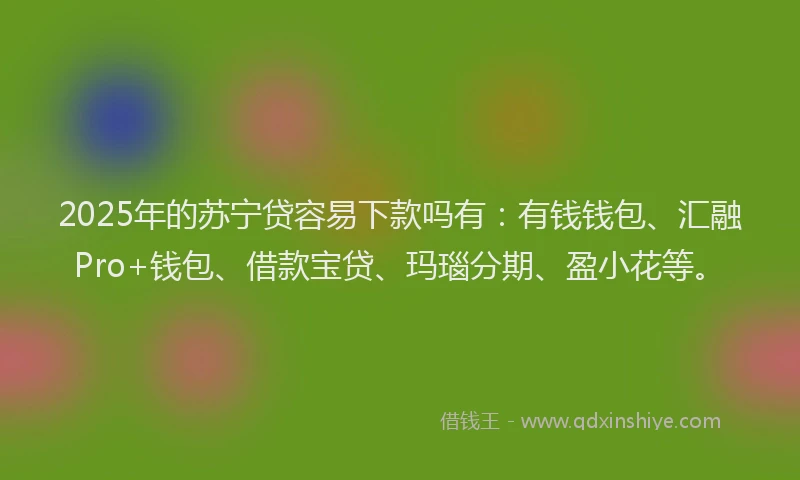 2025年的苏宁贷容易下款吗有：有钱钱包、汇融Pro+钱包、借款宝贷、玛瑙分期、盈小花等。