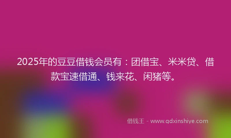 2025年的豆豆借钱会员有：团借宝、米米贷、借款宝速借通、钱来花、闲猪等。