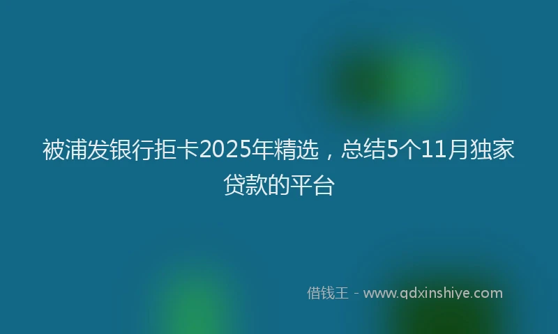 被浦发银行拒卡2025年精选，总结5个11月独家贷款的平台