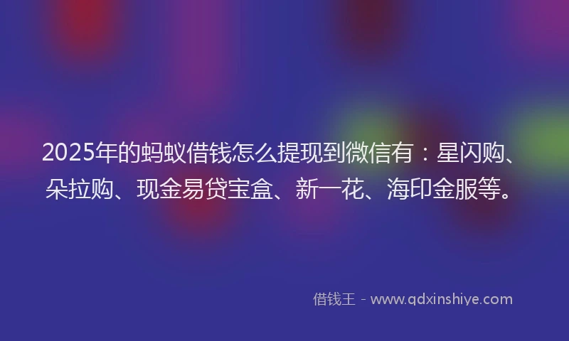 2025年的蚂蚁借钱怎么提现到微信有：星闪购、朵拉购、现金易贷宝盒、新一花、海印金服等。