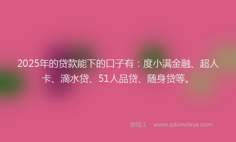 2025年的贷款能下的口子有：度小满金融、超人卡、滴水贷、51人品贷、随身贷等。