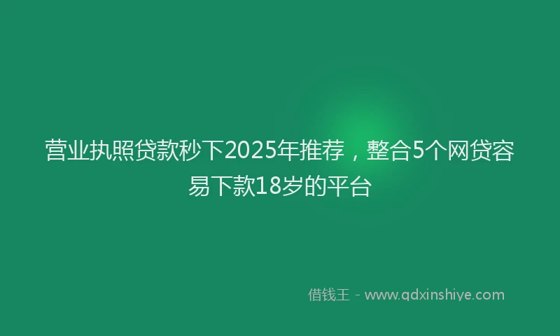 营业执照贷款秒下2025年推荐，整合5个网贷容易下款18岁的平台