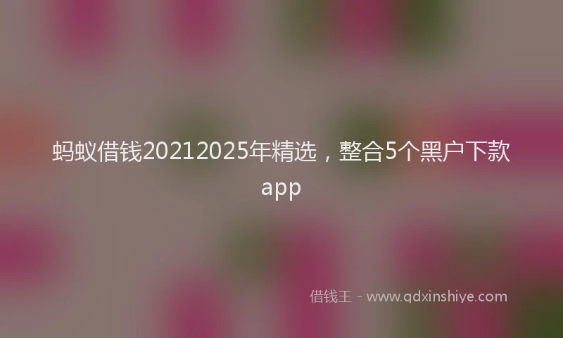 蚂蚁借钱20212025年精选，整合5个黑户下款app