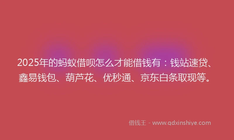 2025年的蚂蚁借呗怎么才能借钱有：钱站速贷、鑫易钱包、葫芦花、优秒通、京东白条取现等。