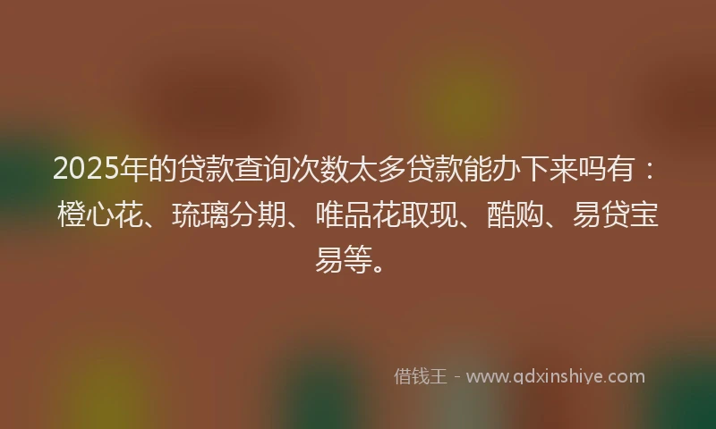 2025年的贷款查询次数太多贷款能办下来吗有：橙心花、琉璃分期、唯品花取现、酷购、易贷宝易等。
