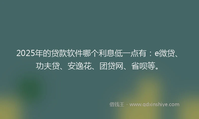 2025年的贷款软件哪个利息低一点有：e微贷、功夫贷、安逸花、团贷网、省呗等。