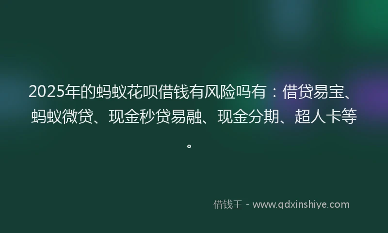 2025年的蚂蚁花呗借钱有风险吗有：借贷易宝、蚂蚁微贷、现金秒贷易融、现金分期、超人卡等。
